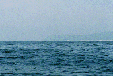 The Sea off Muroto