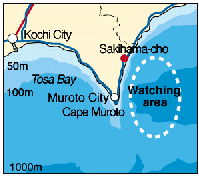 A Map of Muroto's whale Watching Area