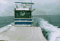 A Whale Watching Boat