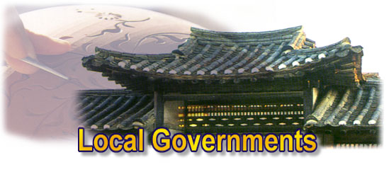 Local Government