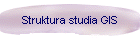 Struktura studia GIS