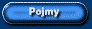 Pojmy