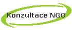 Konzultace NGO