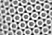 Pseudo 2-D array of ferritin