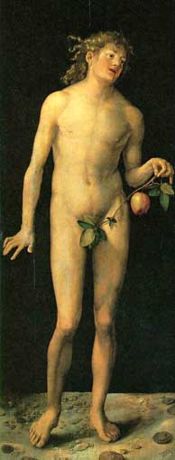 Durer: Adam