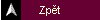 Zp∞t