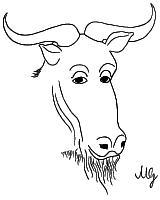  [image of a
   Philosophical Gnu] 