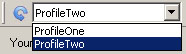 Switching Profiles