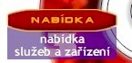 Nabφdka slu₧eb a za°φzenφ