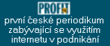 Profit, internet v podnikßnφ