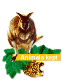 Animals kept