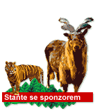 Sta≥te se sponzorem